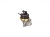 Fuel Pump:77 00 555 728